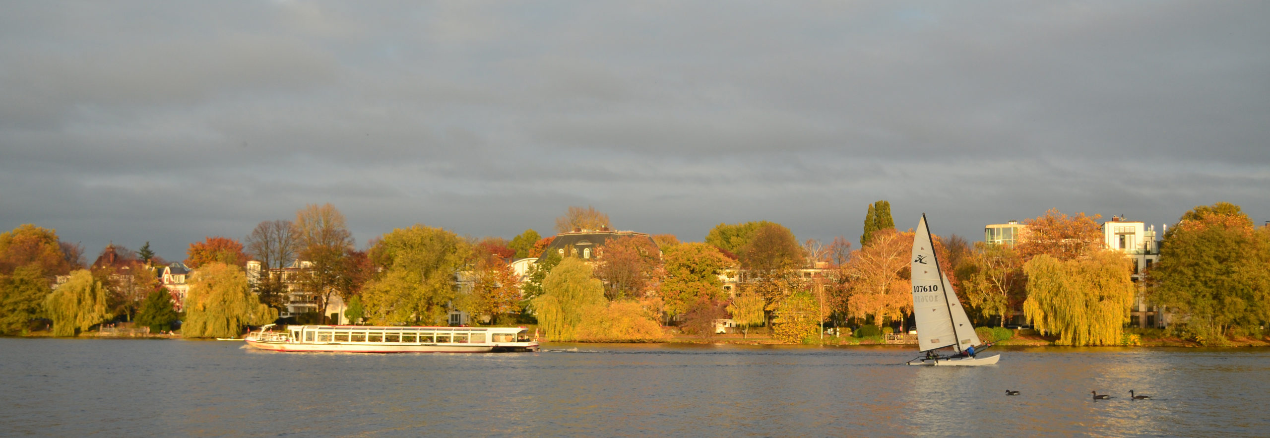 Herbstlicher Blick über die Hamburger Alster mit Segelboot und Häusern am Ufer